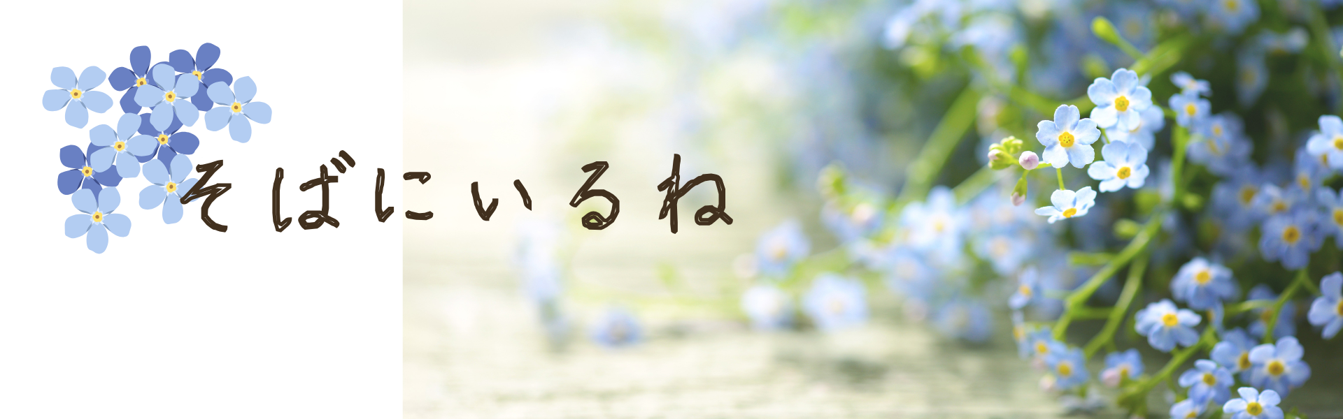 青紫色のわすれな草の花と介護への思いやりを表現したイメージ